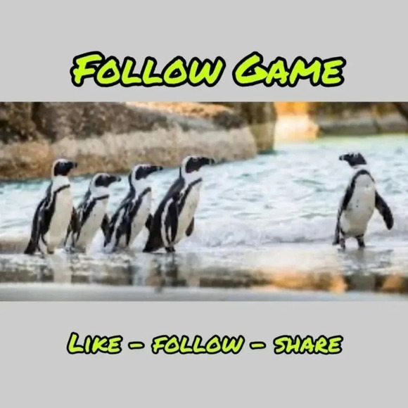 My Very First Follow Game!! - Picture 1 of 3